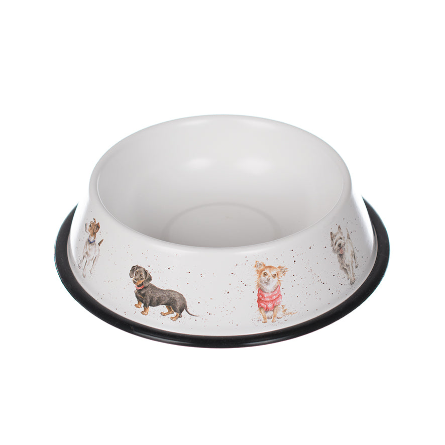 Dog Bowl - Medium