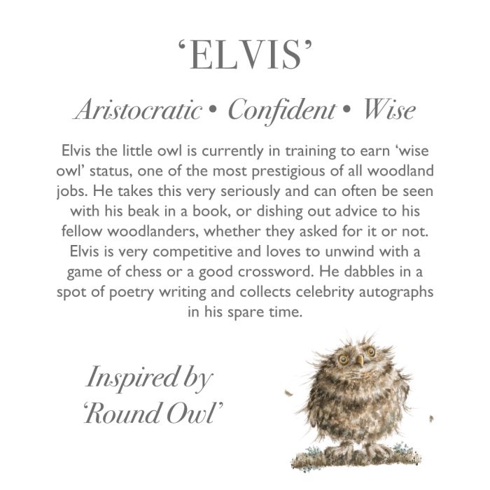 Elvis - Owl Plush-4