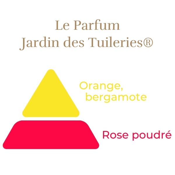 Floribunda Rose - Jardin des Tuileries®-5