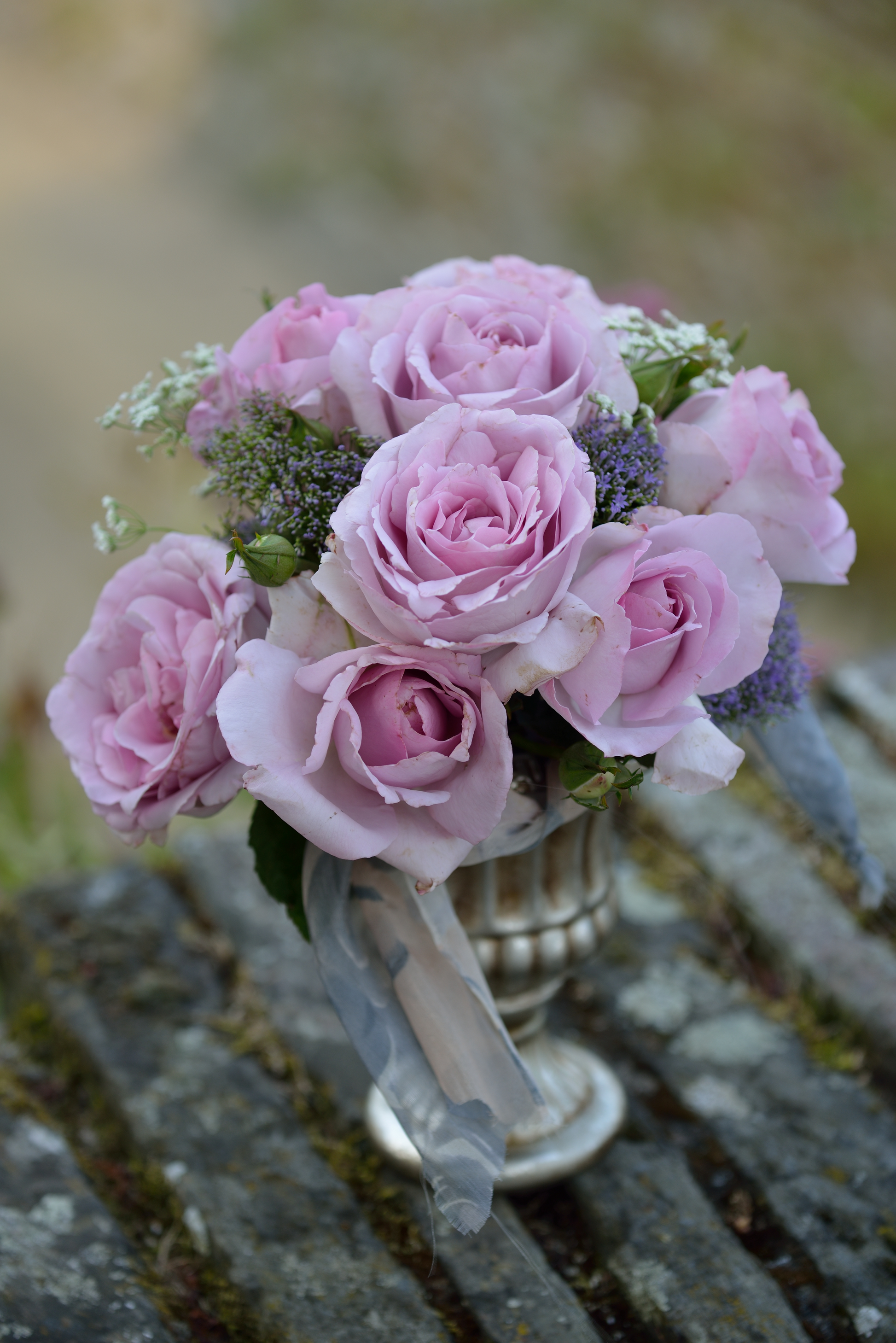 Floribunda Rose - Synactif by Shiseido®-9
