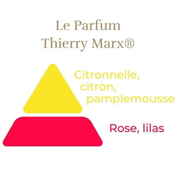 Floribunda Rose - Thierry Marx®-10