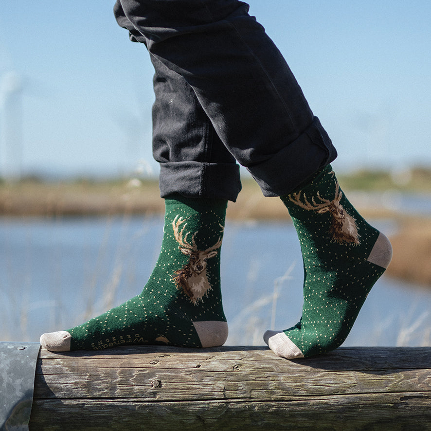 Men's Socks - Stag - Portrait of a Stag-2