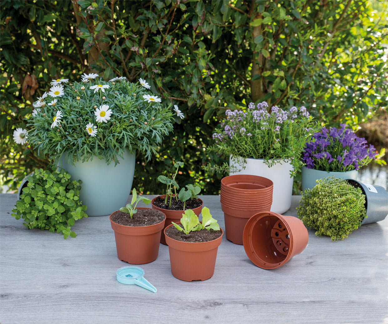 Plastic Pots - 13 cm - 12 pcs-1