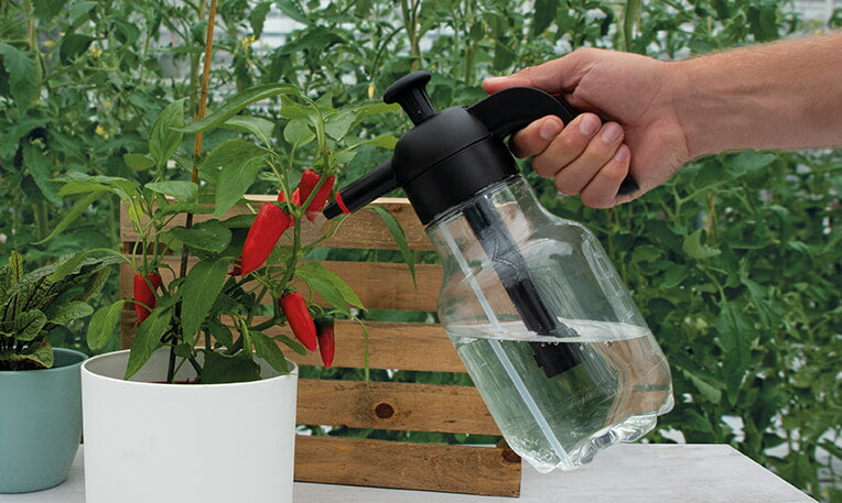 Pressure Sprayer - 2L-2