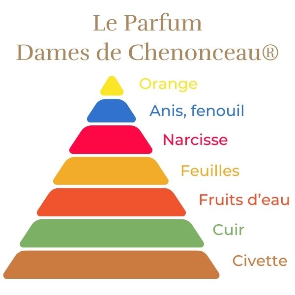 Floribunda Rose - Dames de Chenonceau®