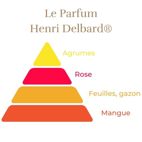 Rosier Hybride de Thé - Henri Delbard®