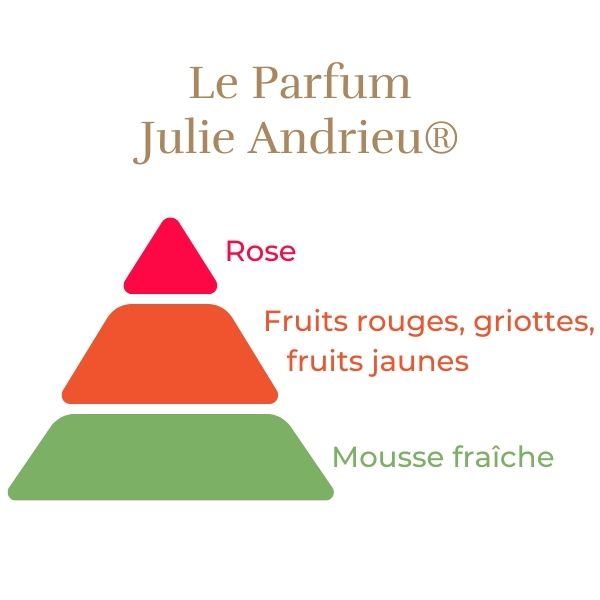 Rosier Grimpant - Julie Andrieu®