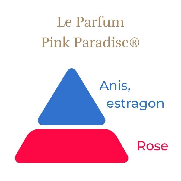 Rosier Hybride de Thé - Pink Paradise®