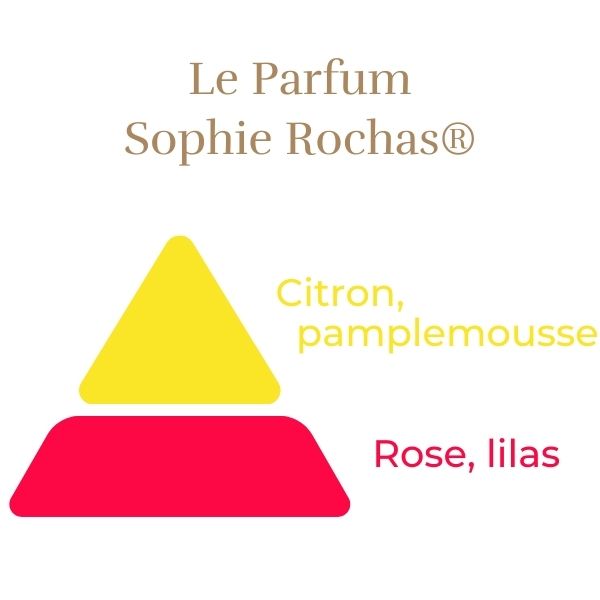 Rosier Hybride de Thé - Sophie Rochas®