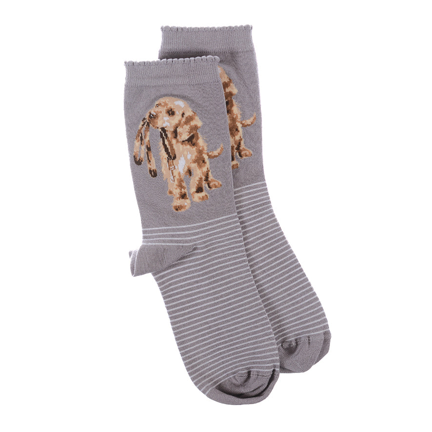 Chaussettes pour femmes - Labrador - Espérant