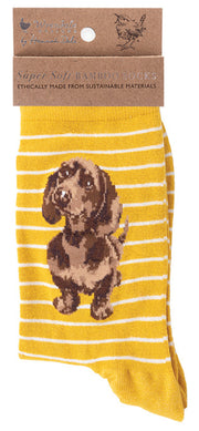 Chaussettes pour femmes - Teckel - Petit