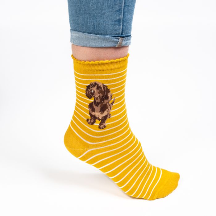 Women's Socks - Dachshund - Little One-2