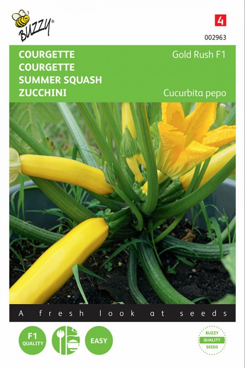 Courgette - Gold Rush F1 - 2g