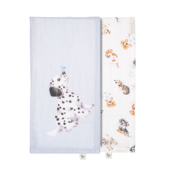 Little Paws - Ensemble Cadeau en Mousseline pour Chien