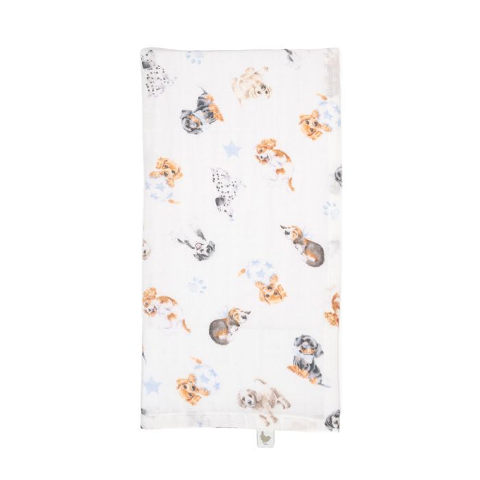 Little Paws - Ensemble Cadeau en Mousseline pour Chien