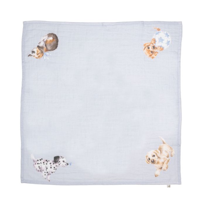 Little Paws - Ensemble Cadeau en Mousseline pour Chien