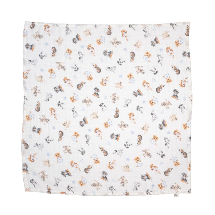 Little Paws - Ensemble Cadeau en Mousseline pour Chien
