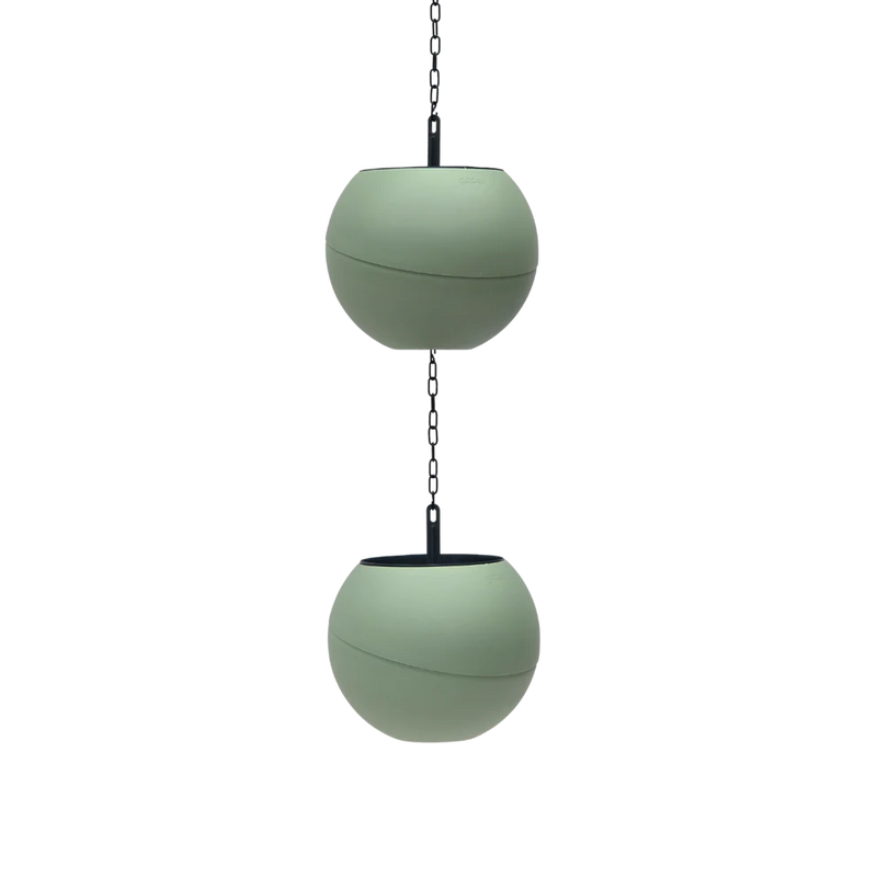 Globee - Olive