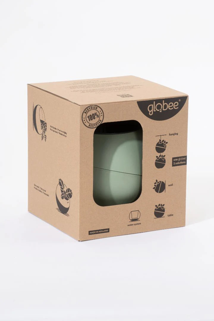 Globee - Olive