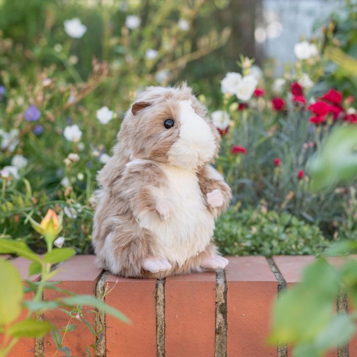Daphne - Guinea Pig Plush