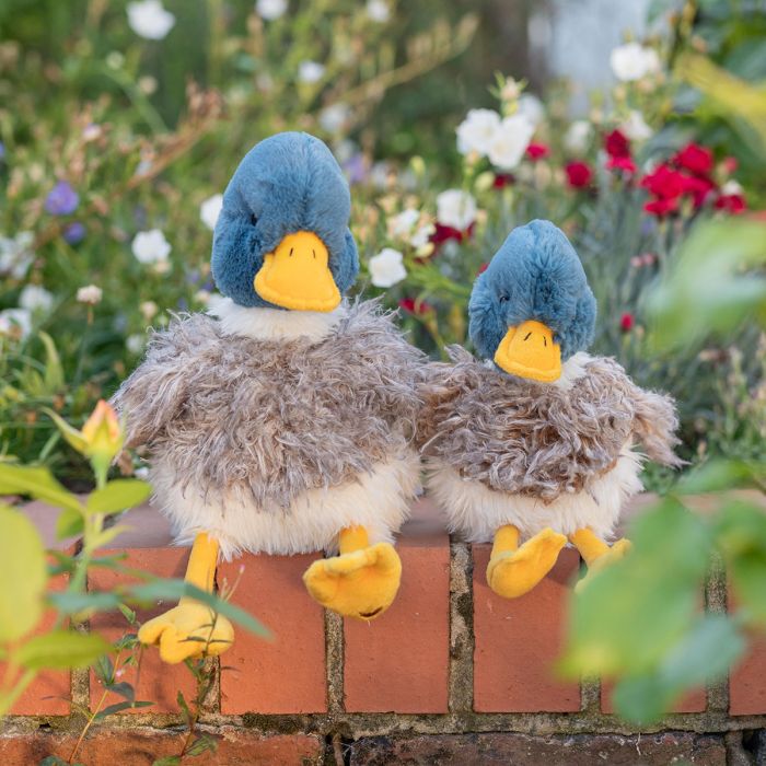 Webster - Duck Plush