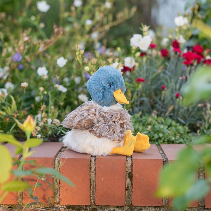 Webster - Duck Plush