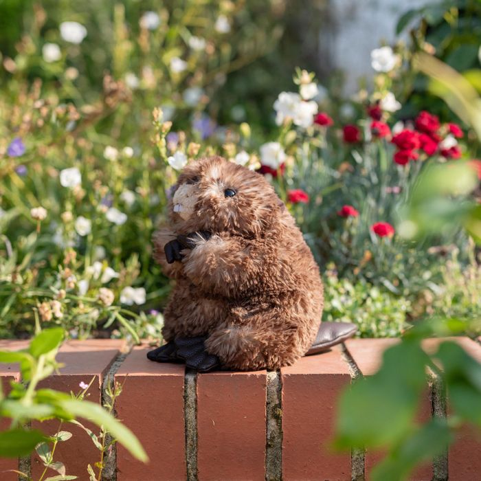 Chester - Beaver Plush