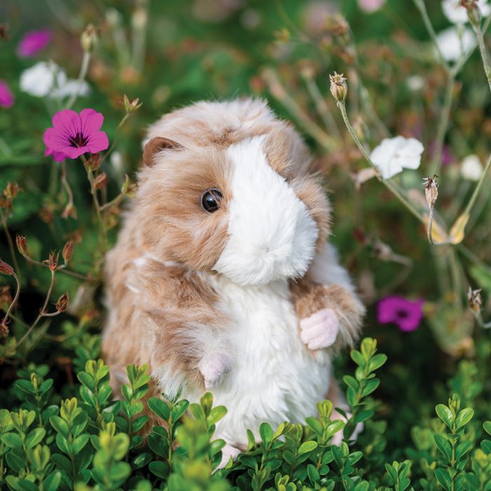 Daphne - Cavia Pluche