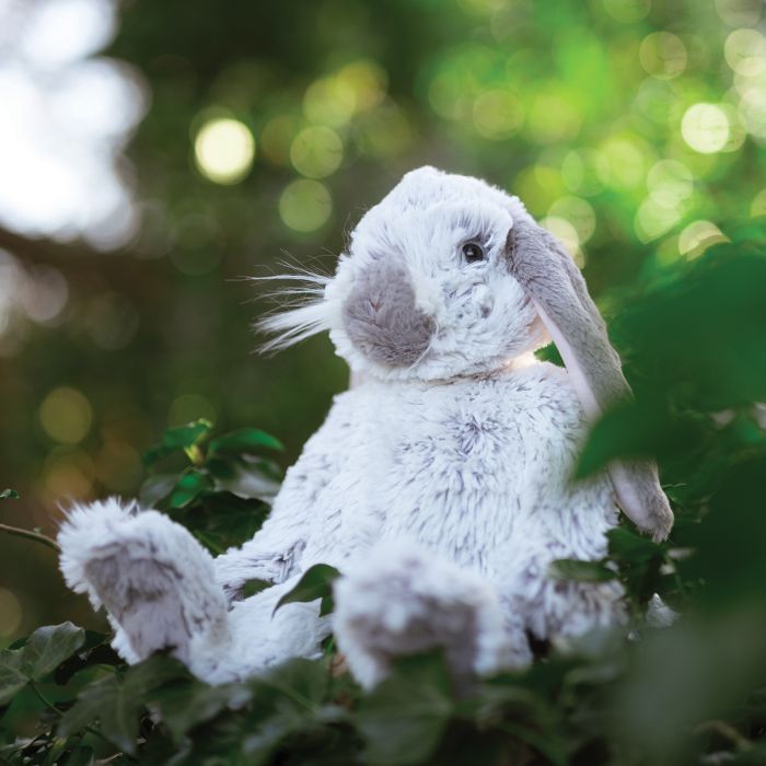 Plush - Rosie - Rabbit