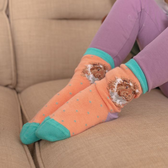 Chaussettes pour enfants - Cochon d'Inde - Grinny Pig - 23-26