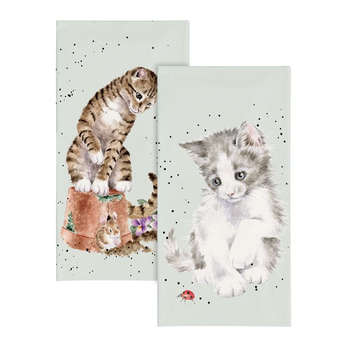 Pocket Tissues - Ladybird - Cat