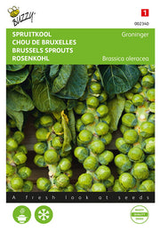 Spruitkool - Groninger - 2g