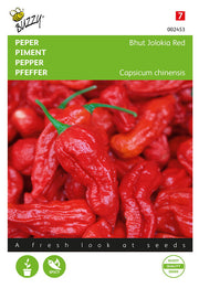 Hete Peper - Bhut Jolokia Rood - 10 Zaden