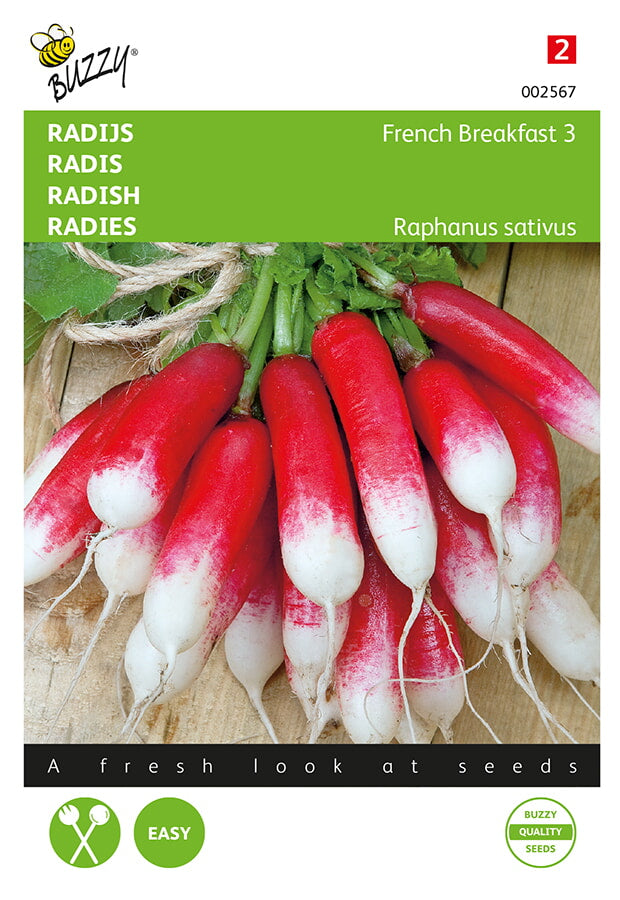 Radijs - French Breakfast 3 - 10g