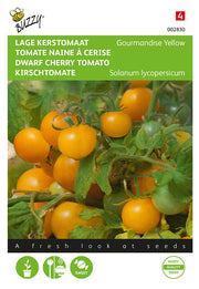 Tomate cerise nain - Gourmandise jaune - 10 graines