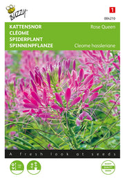 Fleur-araignée - Reine des roses - 0,75g