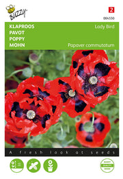 Pavot - Coccinelle - 0,5g