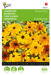 Echinacea - Marguerite Glorieuse - 0,5g