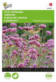 Vervain à sommet violet - 0,4g