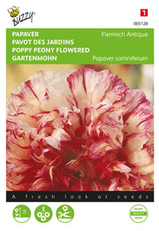 Mohn Pfingstrose Blühend - Flämisch Antik - 0,25g