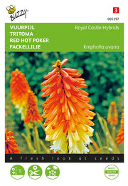 Red Hot Poker - Royal Castle Hybriden - 0,75g