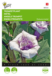 Trompette de l'Ange - 0,5g