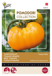 Rindfleisch Tomate -  Brandywine Yellow  - 0,5g
