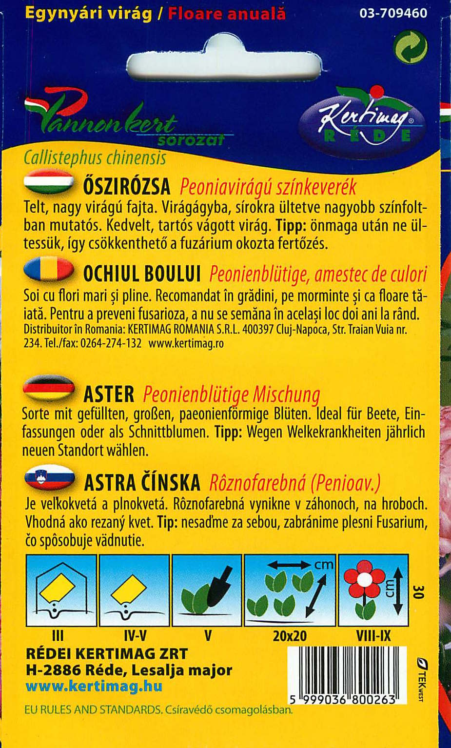 Aster - Pioenroos - 1g