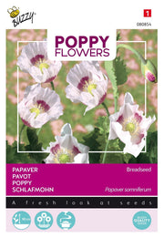 Papaver -  Breadseed - 1g
