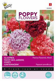 Slaapbol - Paeony Flowered - 1g