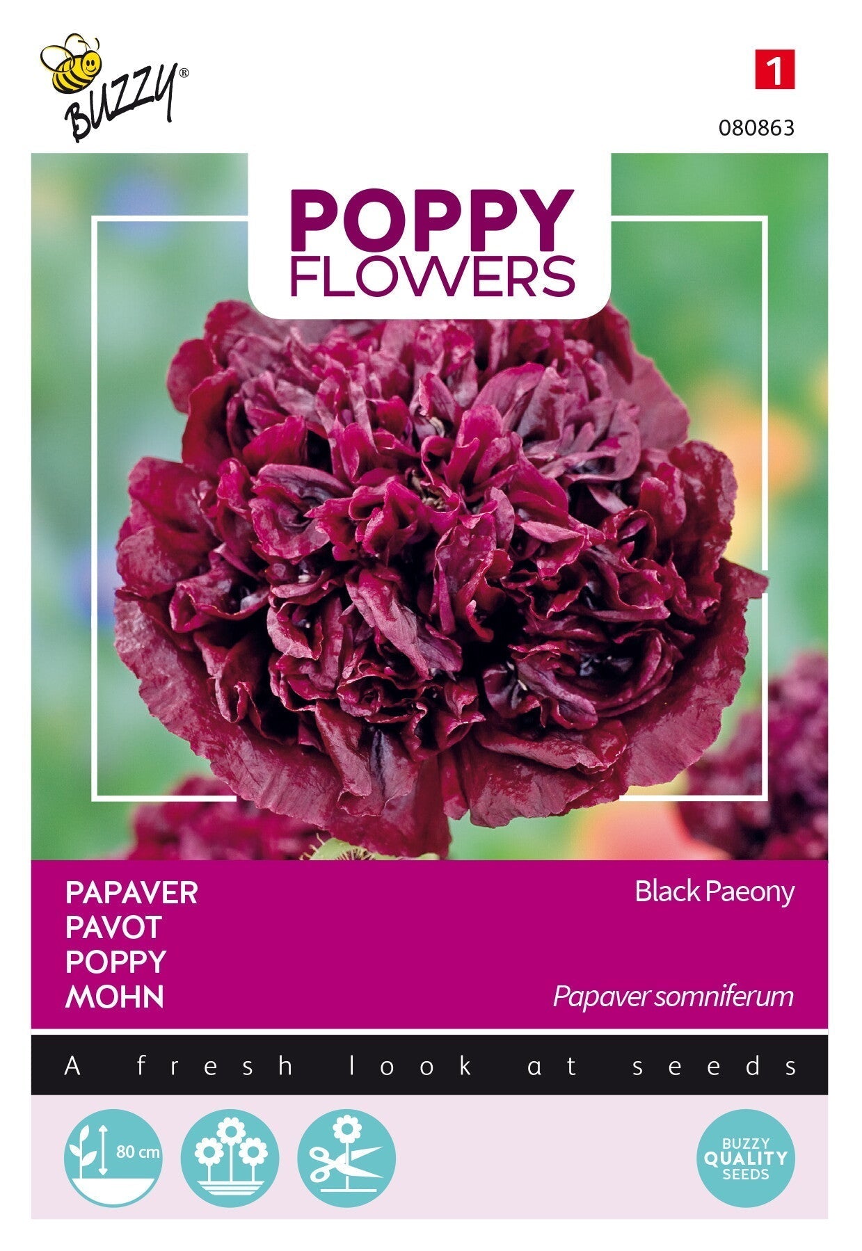 Papaver - Black Paeony  - 0,08g