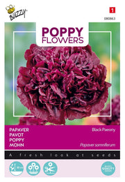 Mohnblumen - Schwarze Pfingstrose - 0,08g