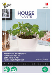Plante sensible - 0,2g