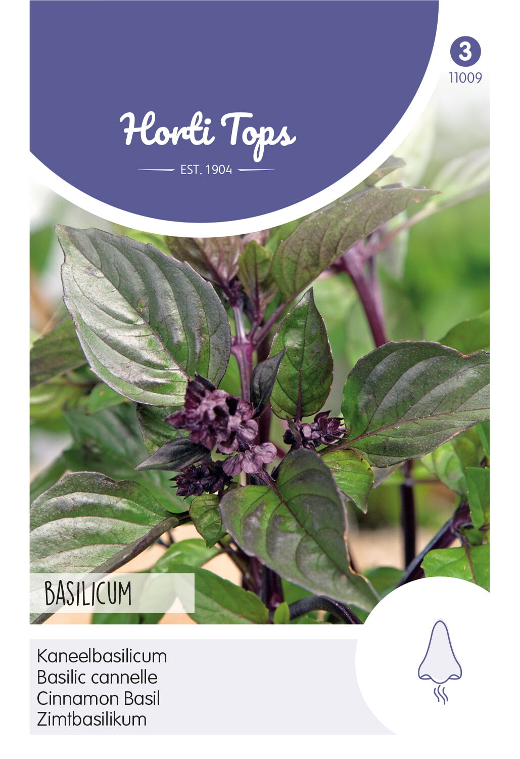 Kaneelbasilicum - 1,5g